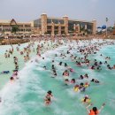 오일파크 이미지