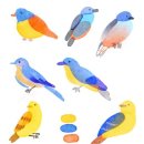 파랑새2 이미지