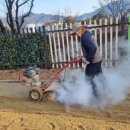 대구포산초등학교 이미지