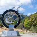 금산인삼 - 중구 대신동 | 금산인삼