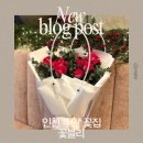 주안에꽃집 | [주안꽃집 후기] 생일 기념으로 부모님 선물 준비하러 다녀온 ‘꽃블리 주안점’ 🌷🎁