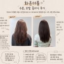 화미용실 - 남구 중앙대로51길 83-2 | 여의도미용실 화온더룸 이서디자이너 모발 클리닉 받은 후기