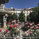 시에스타민박 이미지