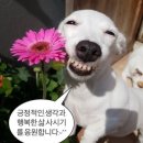 맑은 동물병원 이미지
