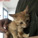 복덩이 건강센터 이미지