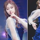 세젤예뷰티 이미지