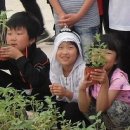 왕성초등학교 이미지