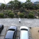 서귀포월드컵경기장 이미지