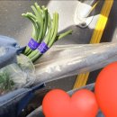 두나민박 이미지