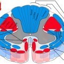 서래스포츠 이미지