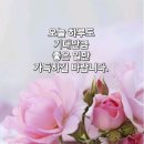 11월14일 (화요일) 아침인사~ 이미지