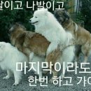 복 이미지