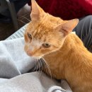 카사블랑카 | 카사블랑카에서 맛집투어, 비린맛 1도 없는 피시마켓 해산물 먹방 후기