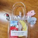 대한키즈스윔스쿨 김천캠퍼스 | 호랑이랑 까치랑 수영