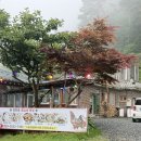 청학동계곡산장 | [경남/하동] 하동 여행 필수 코스 삼성궁600m 30년 전통 계곡산장 방문 후기, 지리산 백숙 추천
