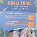 (주)공간에너지 | [시드니 여행코스] 시드니 주 동물원 후기🦘 입장료·가는법·코알라 포토존 총정리!