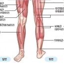 퍼펙트짐2 이미지