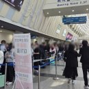 대한적십자 해운대점 | 부산 궁디팡팡 캣페스타 2025 일정 부산 궁팡 오픈런 찐후기 라인업 경품 냥피또 주차