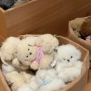 평화로현대서비스(주) | 대구 소품샵 밀앤모이 팝업스토어 후기 더현대 주차장