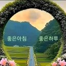판교일등공인중개사사무소 이미지
