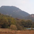 내동-11 이미지