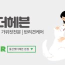 펫더헤븐 이미지