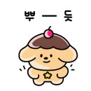코코 반려견미용실 이미지