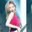 플라워뱅크 이미지