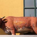 우경축산 이미지