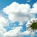 푸르른날 이미지