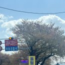 돌팀이횟집 이미지