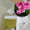 시와시학(Poetry &amp; Poetics) 등단 작가 대사9회 김선자(金善子) 시인, 노픽션 작가 소개 이미지