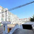 목화
