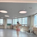 토요 성인발레 입문·초급 | 동탄 발레 로얄발레하우스 성인 클래스 만 2년 수강 후기