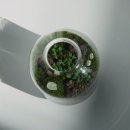 테라리움A 이미지