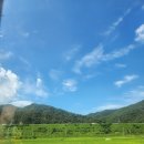 알프스산장 | 천안에서 당일치기 동상계곡 알프스산장 평상대여 솔직후기💦🏊‍♀️