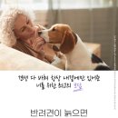비고러스