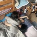 태희서점 | 행복