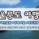 매일관광여행사 이미지