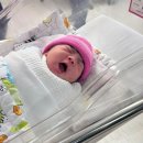 엔씨피희망약국 | 평택 예일산부인과 임신기간 진료 / 제왕절개 수술 후기 1 (1일차~3일차)