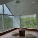 스테이캄드 이미지