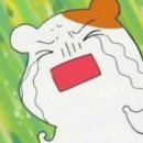 토끼나라 이미지