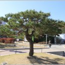 신풍교2 이미지