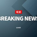 570019 인사이트