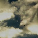 여비서PC 이미지