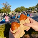영종도 정보 요정 ) 하늘도시 소식 그리고 이번주 2024 송도 맥주 축제!