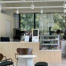 빅트리(Bigtree) | [시흥, 물왕저수지 카페] 숲뷰와 저수지뷰를 동시에 느낄 수 있는 카페 '빅트리' 솔직후기