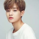 다소니컴퍼니 네이버블로그