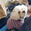 굿모닝안경콘택트 봉명점 | 주말 일상...비스트로오마주, 청주누님댁, 문암생태공원
