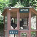 오늘은닭이랑 이미지
